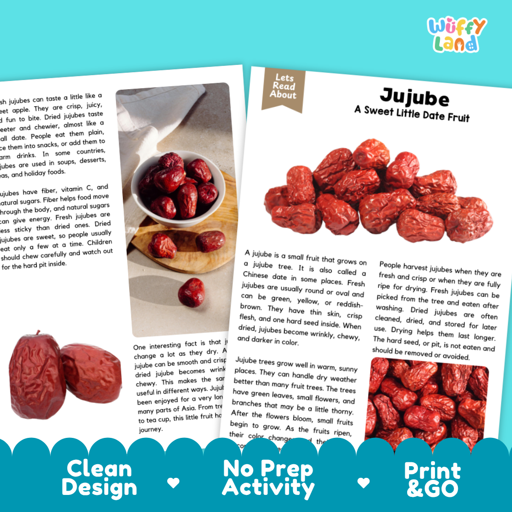 An educational poster about jujubes from the brand 'Wuffly Land', featuring a photo of dried red jujube slices, a fresh green jujube tree, and text explaining its benefits and preparation.