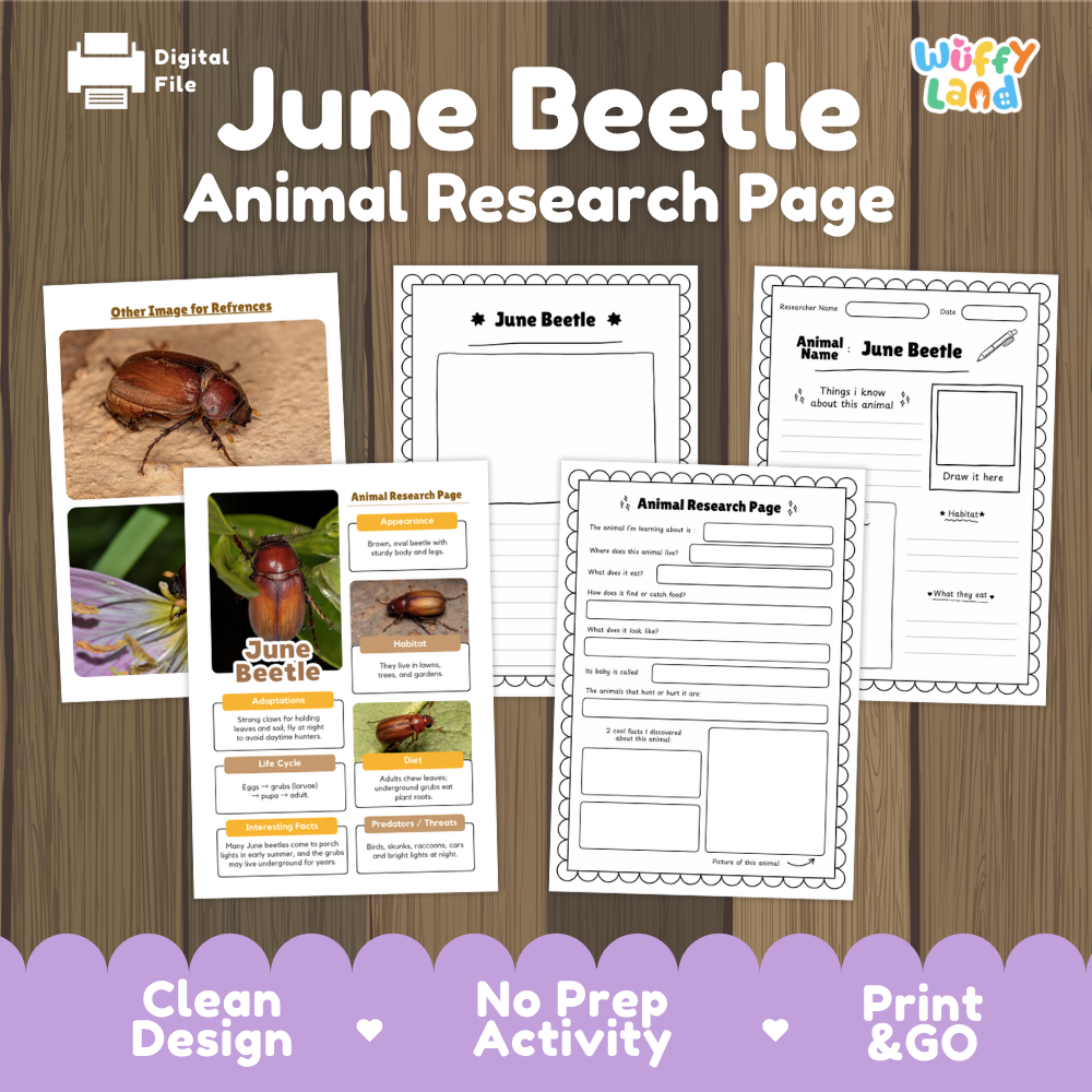 June Beetle Animal Research Page Worksheets