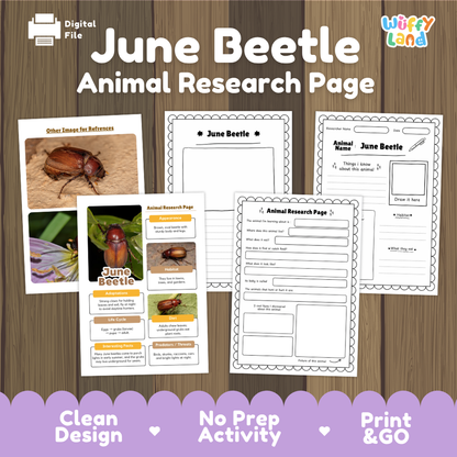 June Beetle Animal Research Page Worksheets
