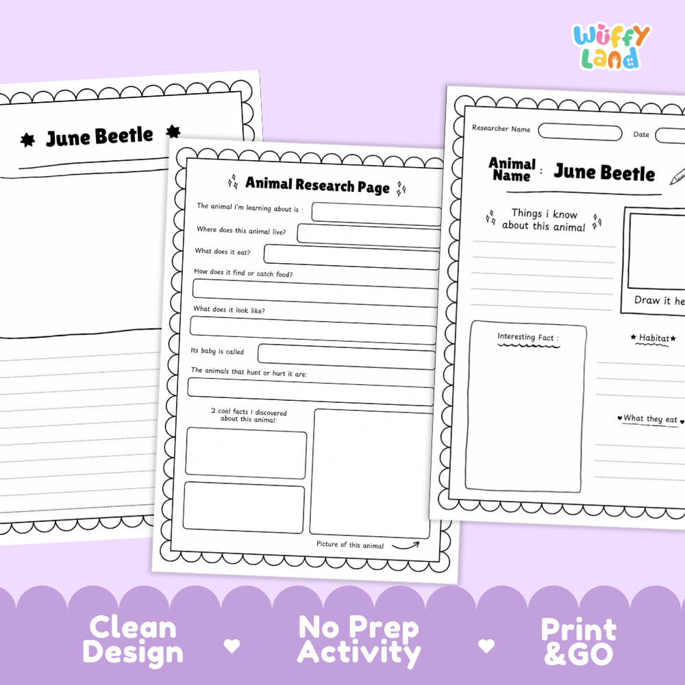 June Beetle Animal Research Page Worksheets