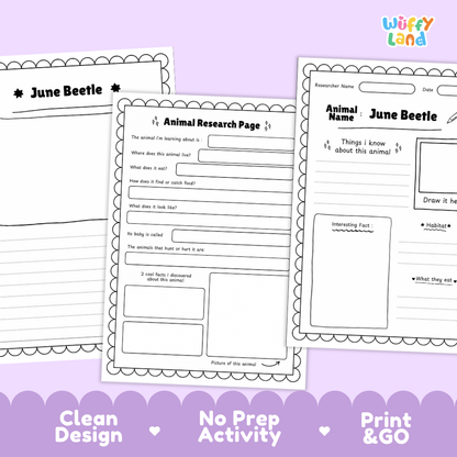 June Beetle Animal Research Page Worksheets