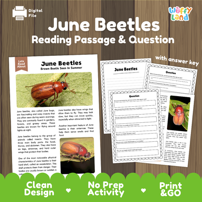 June Beetles Reading Passage and Comprehension Questions Worksheets