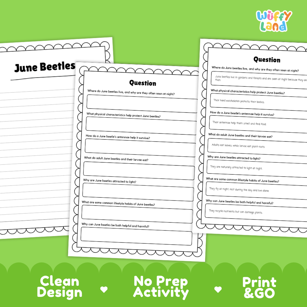 Three printable educational activity sheets about June Beetles arranged on a bright green background with the text 'Clean Design', 'No Prep Activity', and 'Print & GO'. The sheets are white with black text and bordered lines, and the brand name 'Wiffly Land' appears in the top right.