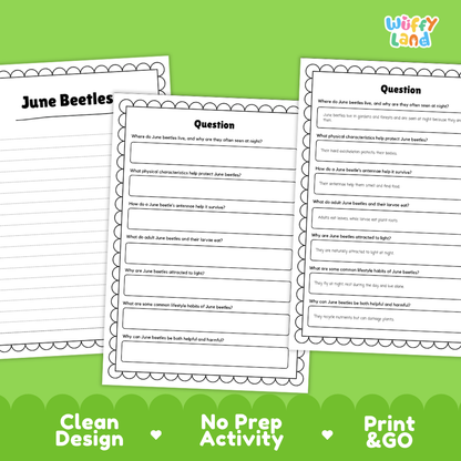 Three printable educational activity sheets about June Beetles arranged on a bright green background with the text 'Clean Design', 'No Prep Activity', and 'Print & GO'. The sheets are white with black text and bordered lines, and the brand name 'Wiffly Land' appears in the top right.