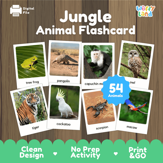 Jungle Animal Flashcard printable rainforest wildlife real photo activity pack overview from Wuffy Land featuring 54 animals 🌴🐅