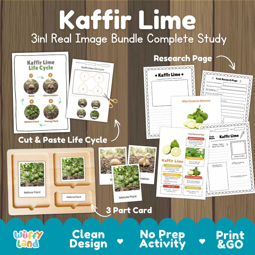 Complete Kaffir Lime 3-in-1 real image study bundle featuring cut and paste worksheets, Montessori 3-part cards, and research pages 🍃🌱