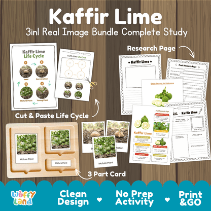 Complete Kaffir Lime 3-in-1 real image study bundle featuring cut and paste worksheets, Montessori 3-part cards, and research pages 🍃🌱