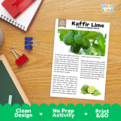 Student reading comprehension worksheet with short-answer questions and lined sections about kaffir lime