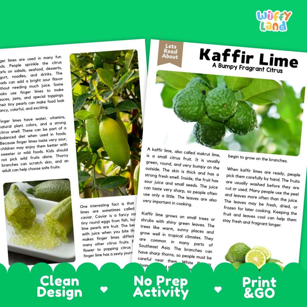 Teacher answer key page showing complete question solutions for kaffir lime reading comprehension practice