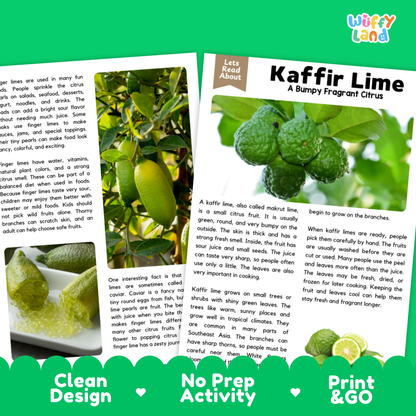 Teacher answer key page showing complete question solutions for kaffir lime reading comprehension practice