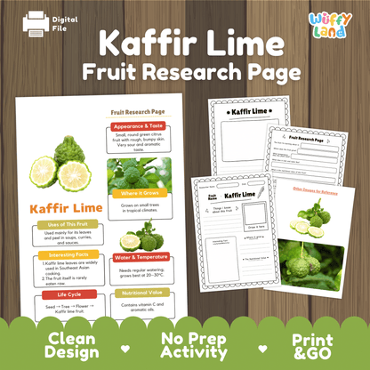 Kaffir Lime Makrut Fruit Research Project Science Worksheet Fact Sheet Activity