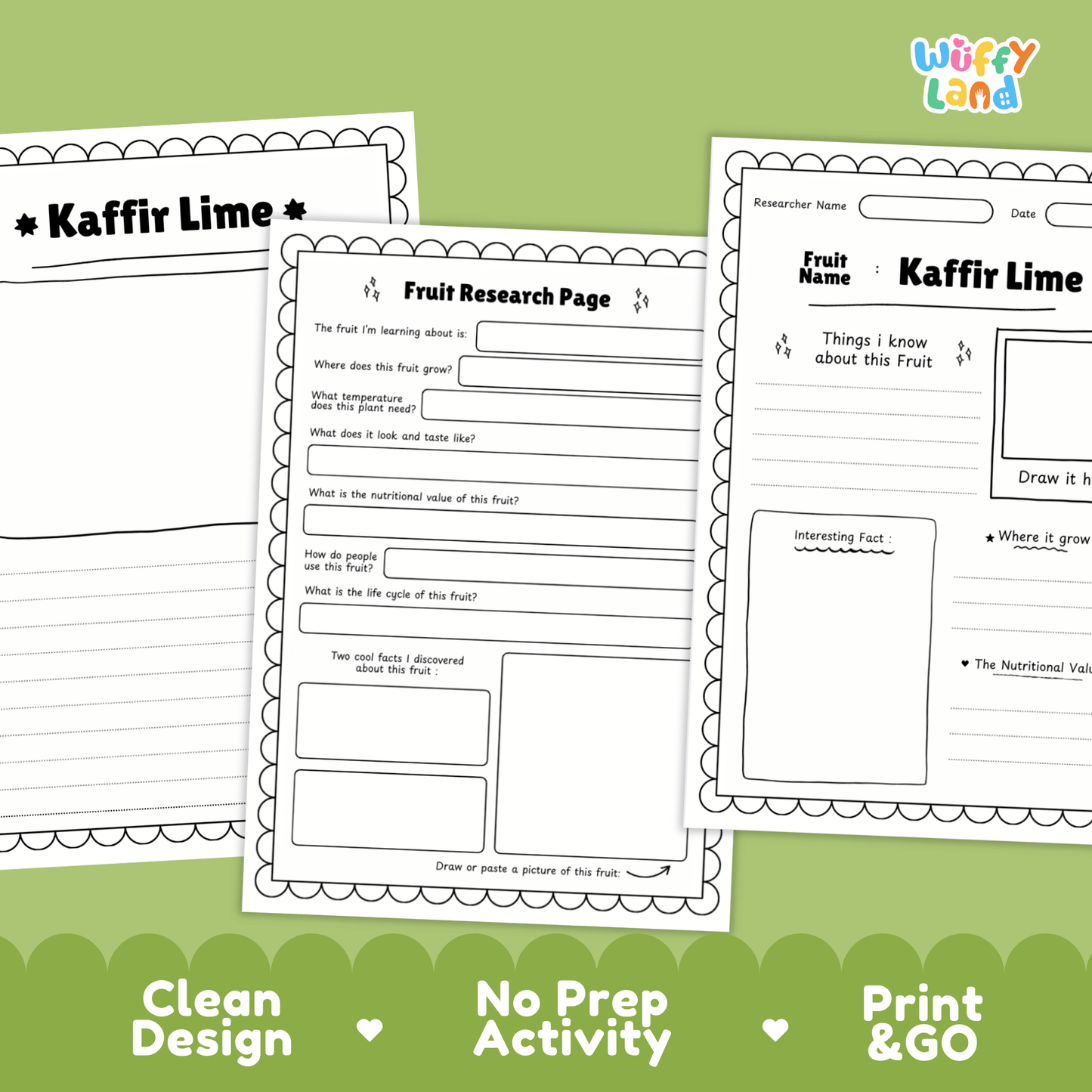 Kaffir Lime Makrut Fruit Research Project Science Worksheet Fact Sheet Activity