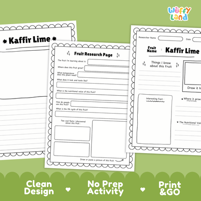 Kaffir Lime Makrut Fruit Research Project Science Worksheet Fact Sheet Activity