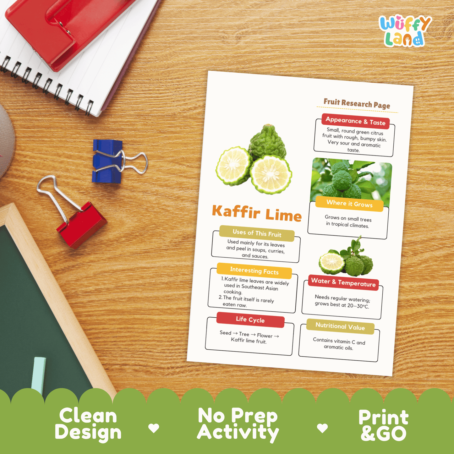 Kaffir Lime Makrut Fruit Research Project Science Worksheet Fact Sheet Activity