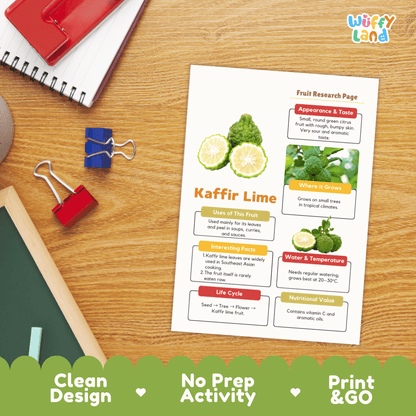Kaffir Lime Makrut Fruit Research Project Science Worksheet Fact Sheet Activity