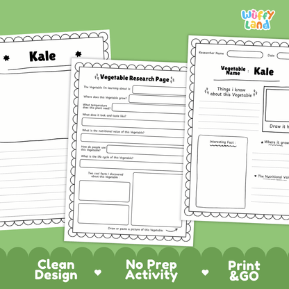 Kale Vegetable Research ActivityWorksheet Science Superfood Healthy Eating Plant
