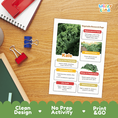 Kale Vegetable Research ActivityWorksheet Science Superfood Healthy Eating Plant