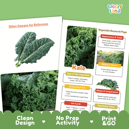 Kale Vegetable Research ActivityWorksheet Science Superfood Healthy Eating Plant