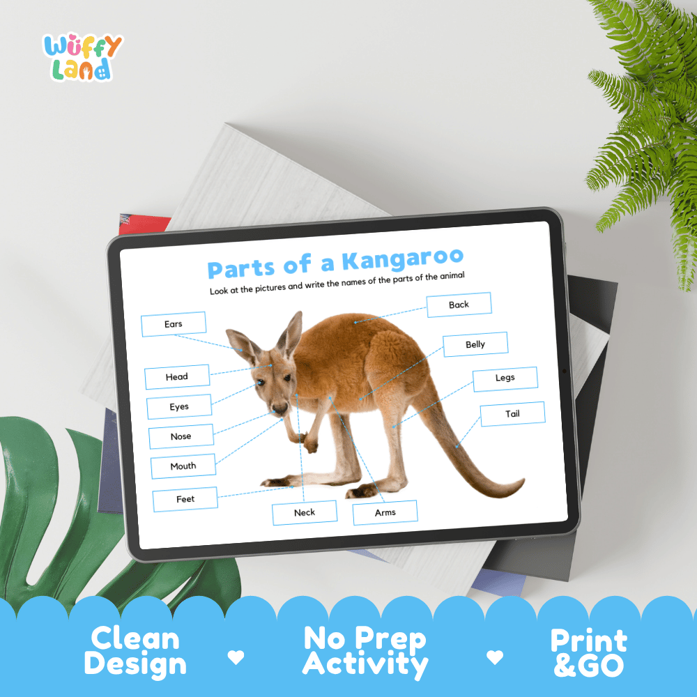 Educational cut and paste kangaroo animal anatomy worksheet with printable word cutout tiles for ears, head, neck, arms, legs, feet, and tail