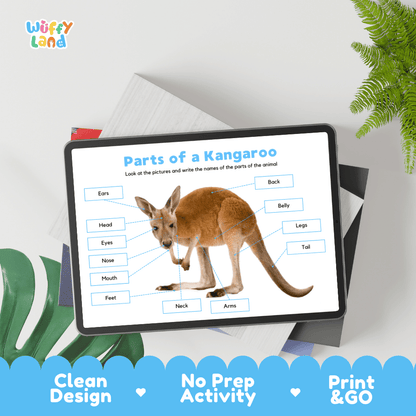 Educational cut and paste kangaroo animal anatomy worksheet with printable word cutout tiles for ears, head, neck, arms, legs, feet, and tail