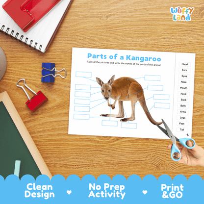 Printable animal science worksheet showing a realistic standing kangaroo with blank labeling boxes and a vocabulary word bank for writing practice
