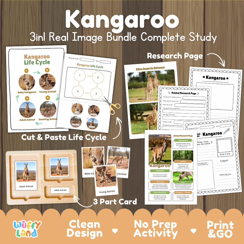 Kangaroo 3-in-1 real image bundle complete study cover showing cut and paste life cycle, 3 part cards, and research pages
