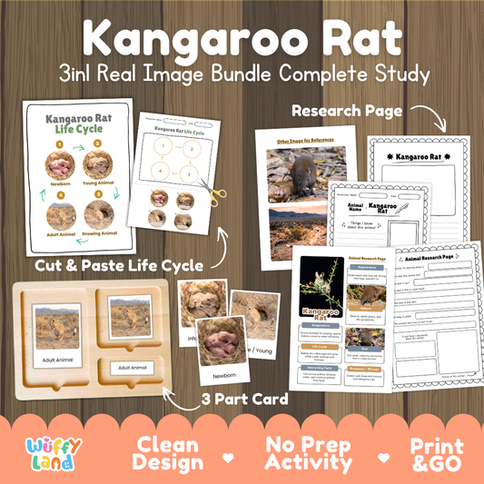 Kangaroo Rat 3-in-1 real image bundle complete study cover showing cut and paste life cycle, 3 part cards, and research pages