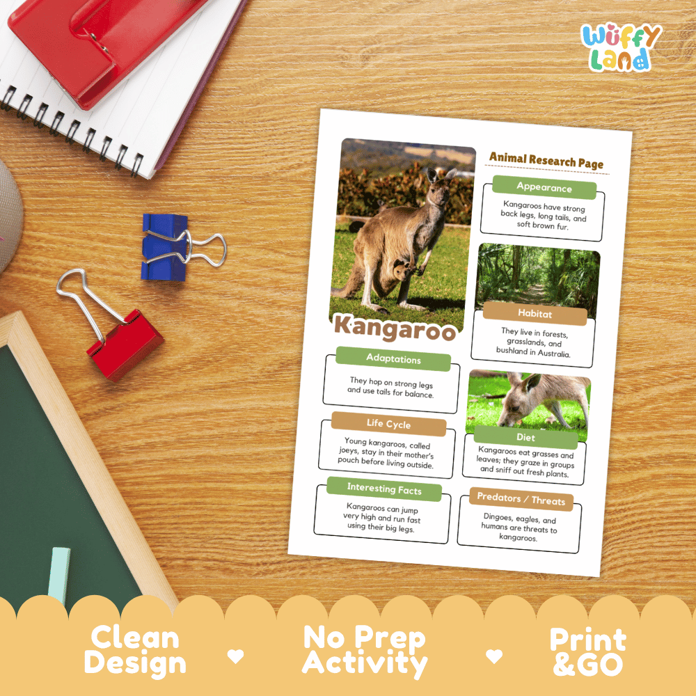Kangaroo Animal Research Project | Informational Writing & Science Worksheets