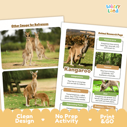 Kangaroo Animal Research Project | Informational Writing & Science Worksheets