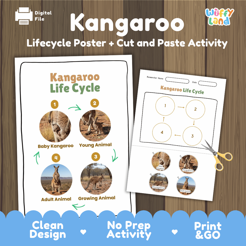 Kangaroo Life Cycle Poster and Cut and Paste Activity Worksheets
