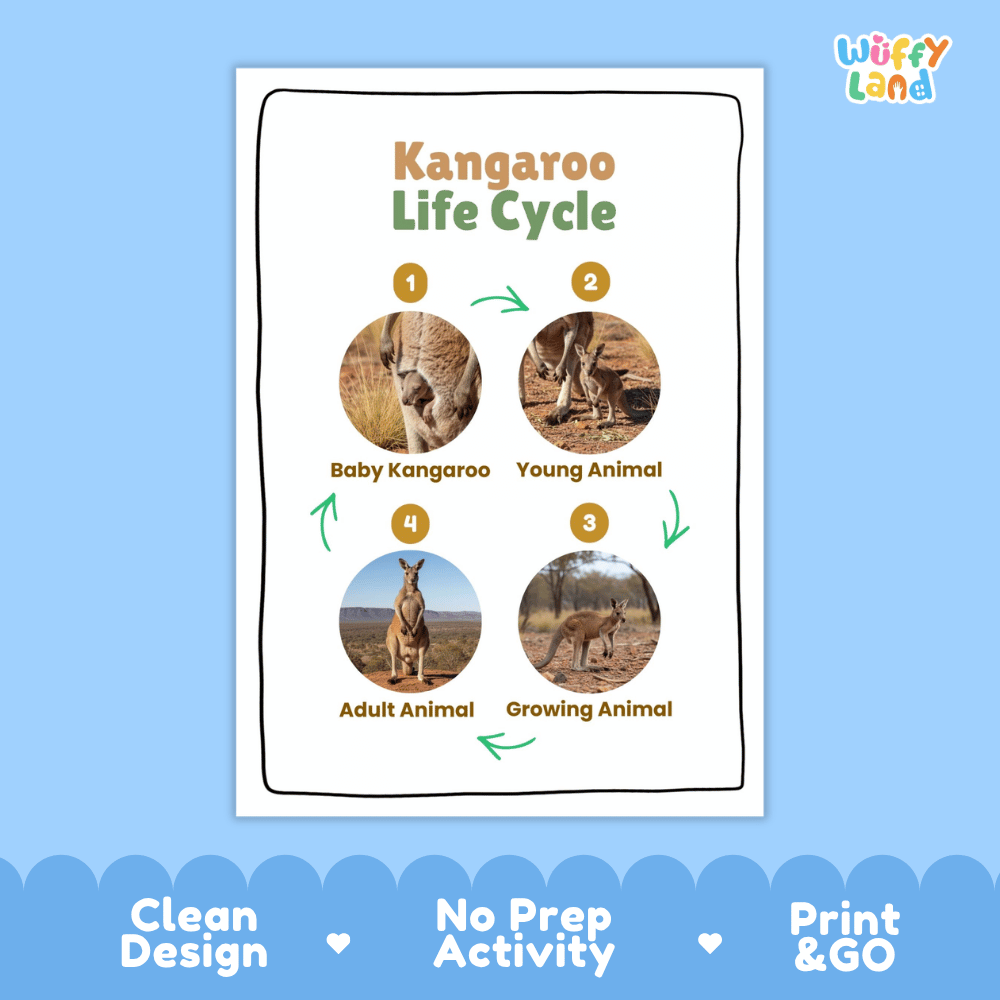 Kangaroo Life Cycle Poster and Cut and Paste Activity Worksheets
