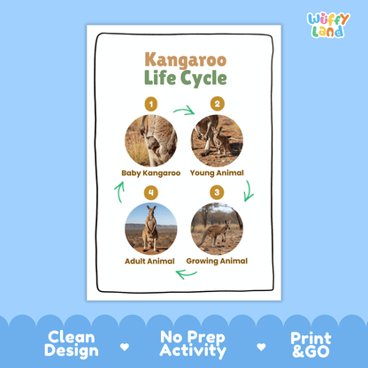 Kangaroo Life Cycle Poster and Cut and Paste Activity Worksheets