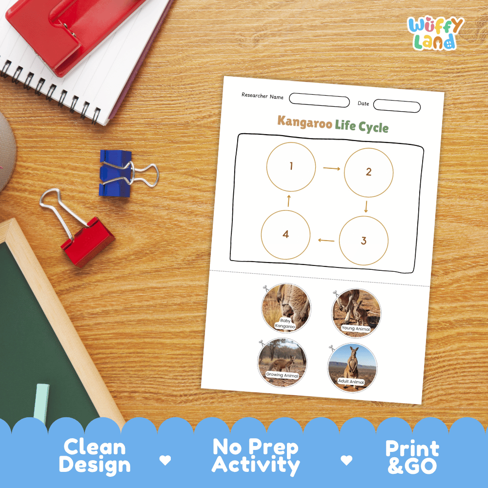 Kangaroo Life Cycle Poster and Cut and Paste Activity Worksheets