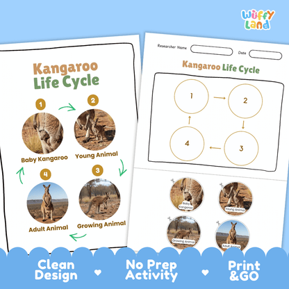 Kangaroo Life Cycle Poster and Cut and Paste Activity Worksheets