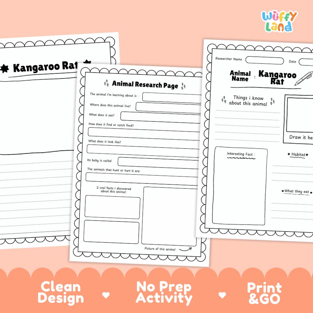 Kangaroo Rat Animal Research Page Worksheets and Fact Sheet Activity