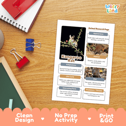 Kangaroo Rat Animal Research Page Worksheets and Fact Sheet Activity