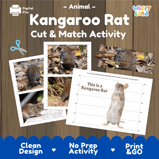Kangaroo Rat Cut and Match Activity Worksheets | Animal Puzzle Printables