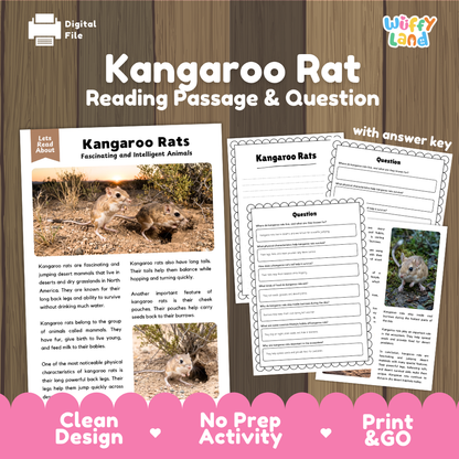 Kangaroo Rat Reading Passage and Comprehension Questions Worksheets