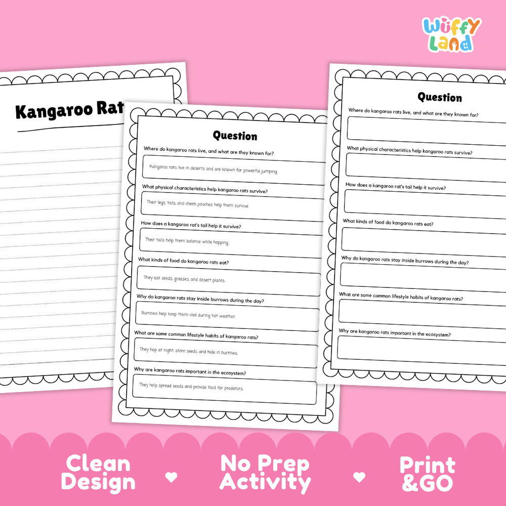 Three printable worksheet pages about a kangaroo rat displayed on a pink background with promotional text reading 'Clean Design,' 'No Prep Activity,' and 'Print & GO.' The worksheets contain short reading passages and multiple-choice question sections.