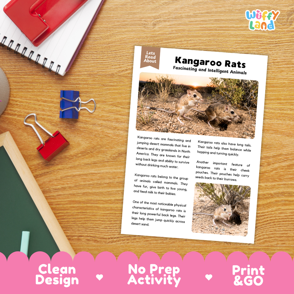 Kangaroo Rat Reading Passage and Comprehension Questions Worksheets