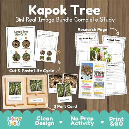 Kapok tree 3in1 real image bundle complete study printable featuring life cycle cut and paste worksheets, Montessori 3-part cards, and research pages