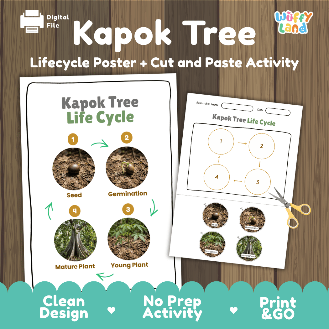 Kapok Tree Life Cycle Poster and Cut and Paste Activity Worksheet