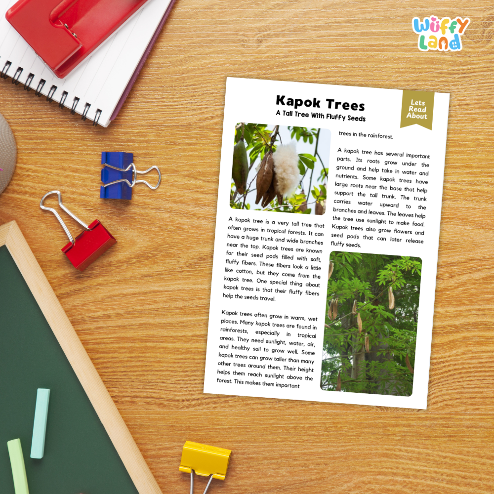 Kapok Tree Plant Reading Passages Worksheets and Comprehension Activity