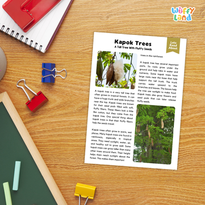 Kapok Tree Plant Reading Passages Worksheets and Comprehension Activity