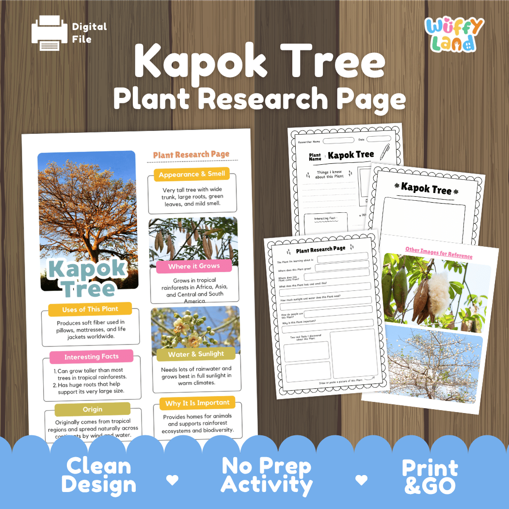 Kapok Tree Plant Research Page Worksheets and Fact Sheet