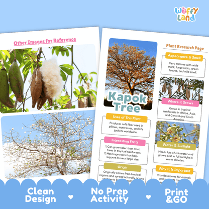 Kapok Tree Plant Research Page Worksheets and Fact Sheet