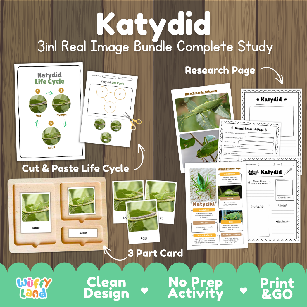 Katydid 3-in-1 real image bundle complete study cover showing cut and paste life cycle, 3 part cards, and research pages