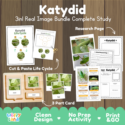 Katydid 3-in-1 real image bundle complete study cover showing cut and paste life cycle, 3 part cards, and research pages