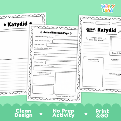 Katydid Animal Research Page Worksheets