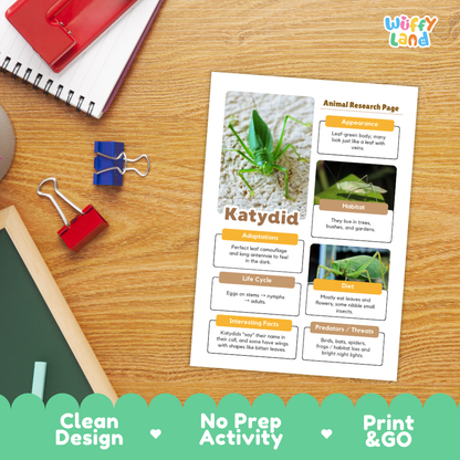 Katydid Animal Research Page Worksheets